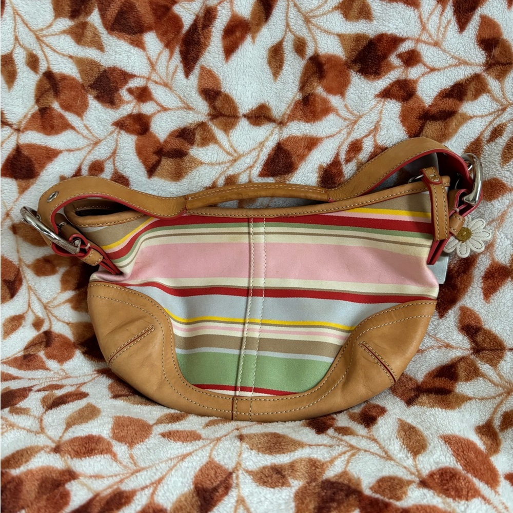 Coach Multicolor Striped Hobo Bag